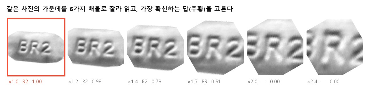 BR2 알약을 6배율로 자른 판독 결과